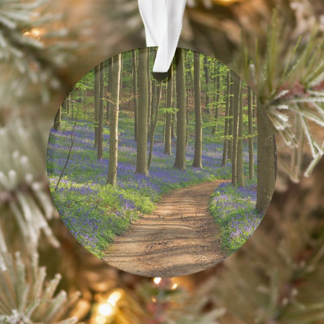 Forests | Bluebell Forest in Belgium Ornament (Tree)