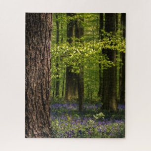 Forests Bluebells in Belgium Jigsaw Puzzle
