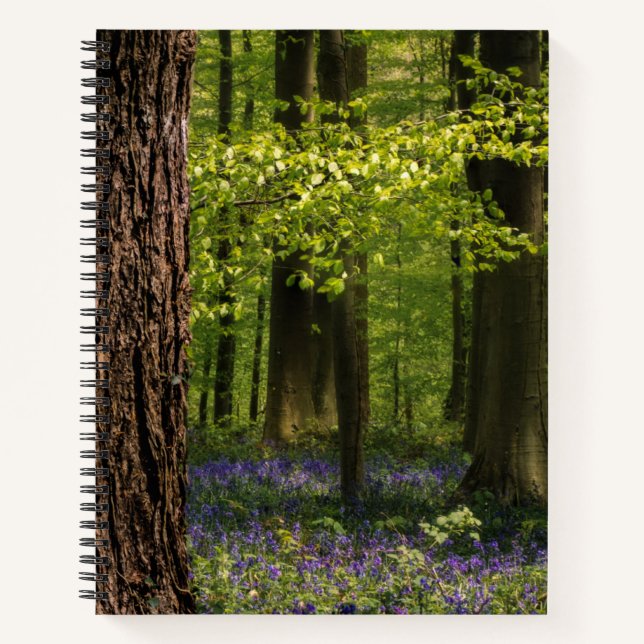 Forests | Bluebells in Belgium Notebook (Front)