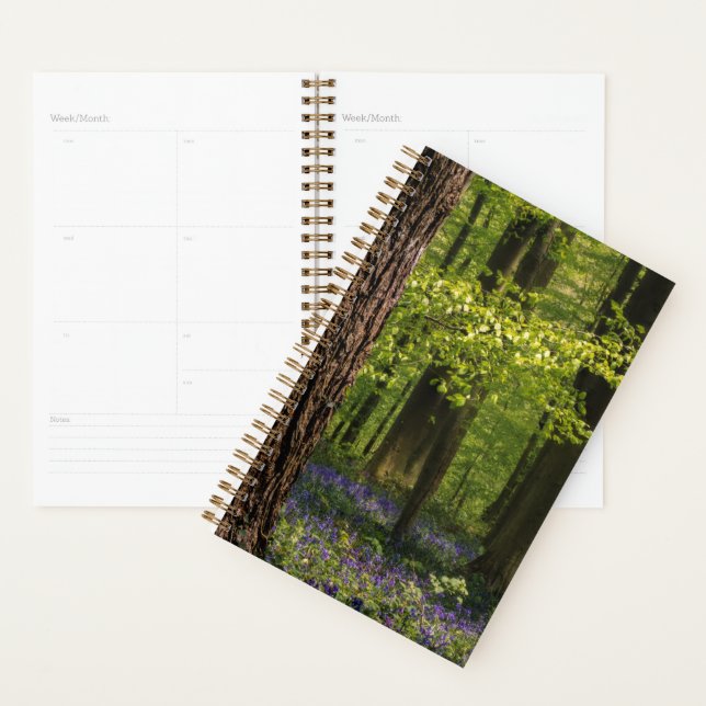 Forests | Bluebells in Belgium Planner (Display)