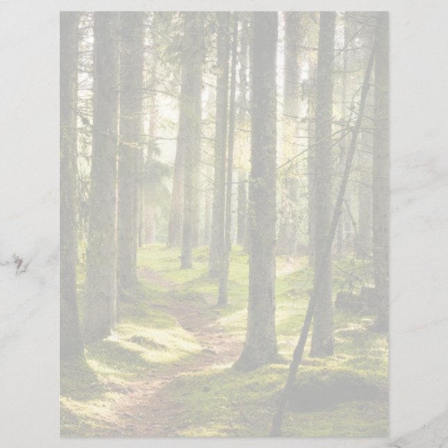 Forests | Boreal Forest Sweden (Front)