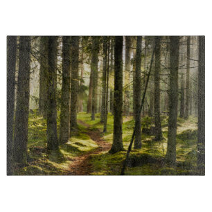 Forests Boreal Forest Sweden Cutting Board