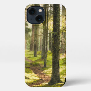 Forests   Boreal Forest Sweden iPhone 13 Case