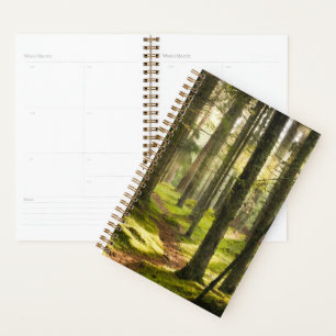 Forests Boreal Forest Sweden Planner