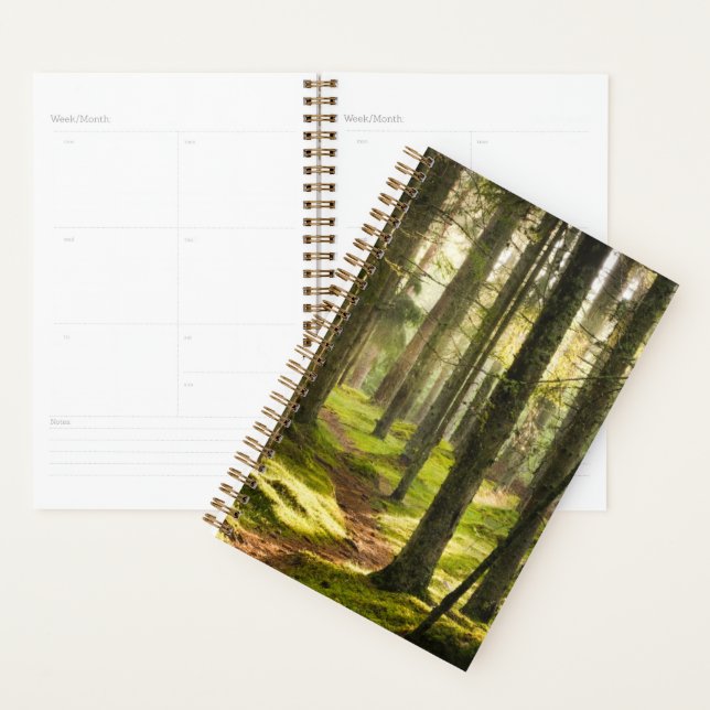 Forests | Boreal Forest Sweden Planner (Display)