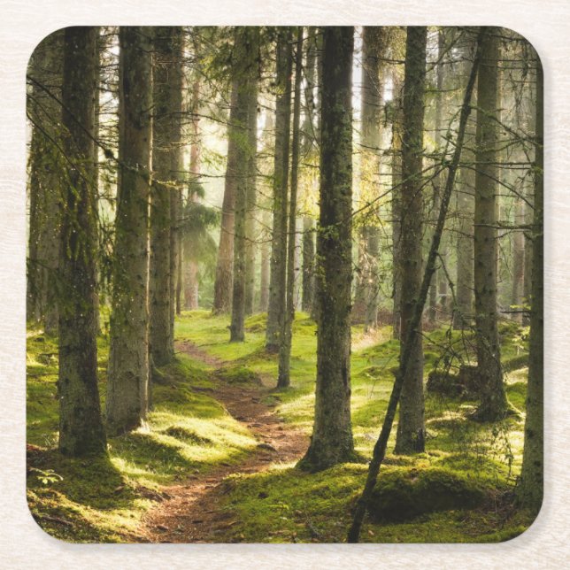 Forests | Boreal Forest Sweden Square Paper Coaster (Front)
