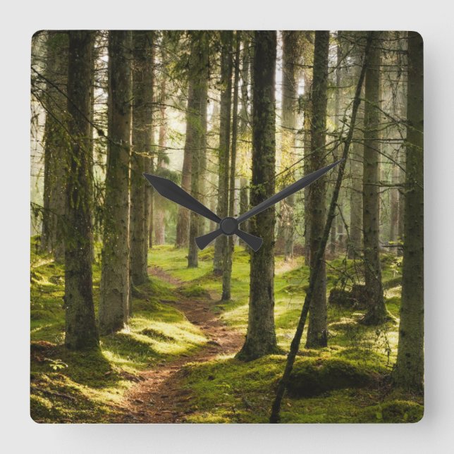 Forests | Boreal Forest Sweden Square Wall Clock (Front)