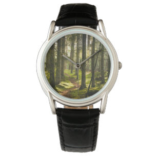Forests Boreal Forest Sweden Watch