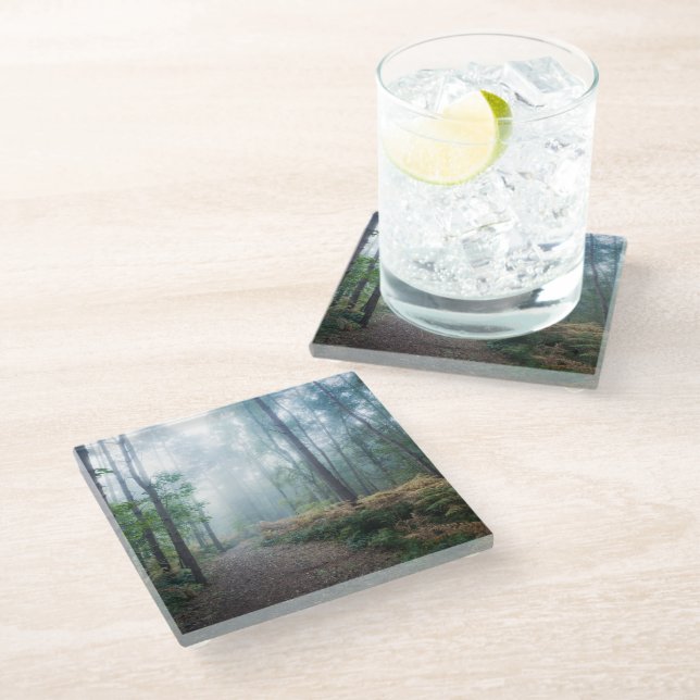 Forests | Dark Foggy Woods Norfolk UK Glass Coaster (Angled)