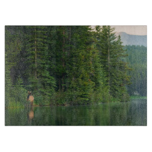 Forests Elk at Banff National Park Alberta Cutting Board