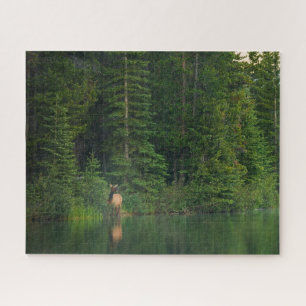 Forests Elk at Banff National Park Alberta Jigsaw Puzzle