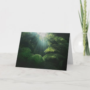Forests Ferns in Rainforest Card