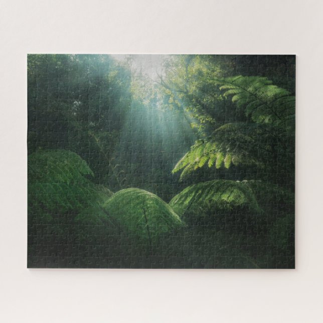 Forests | Ferns in Rainforest Jigsaw Puzzle (Horizontal)
