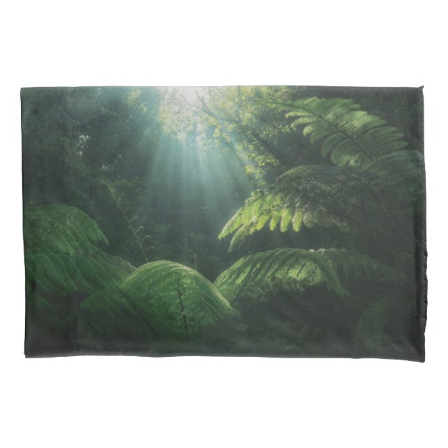Forests | Ferns in Rainforest Pillowcase (Front)
