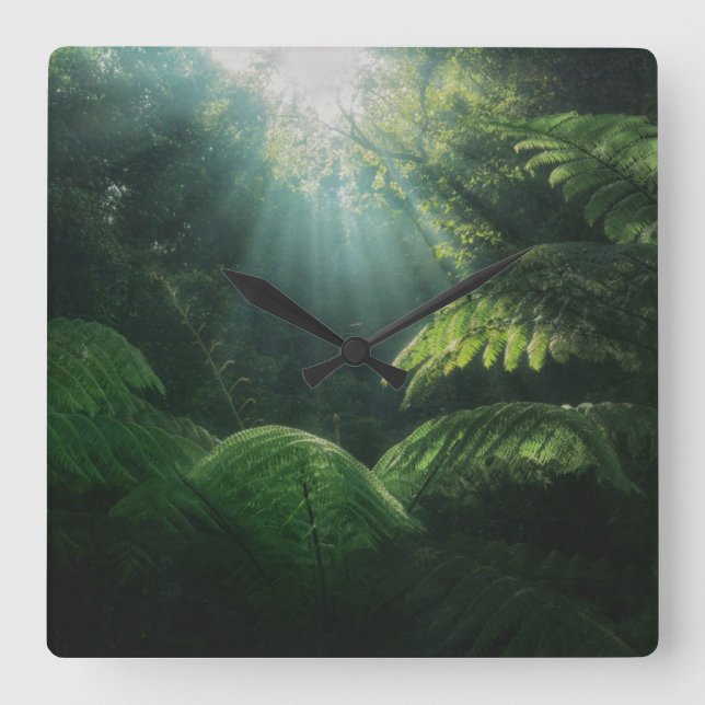 Forests | Ferns in Rainforest Square Wall Clock (Front)