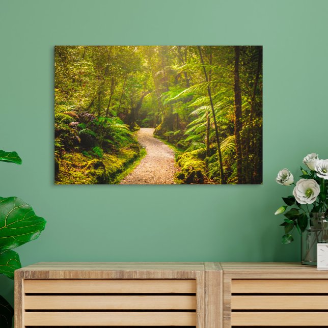 Forests | Footpath Into Forest Canvas Print (Creator Uploaded)