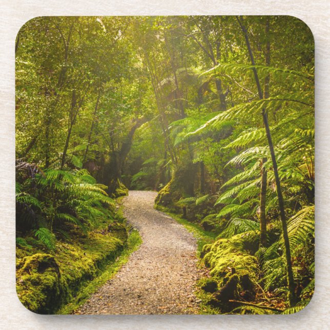 Forests | Footpath Into Forest Coaster (Front)