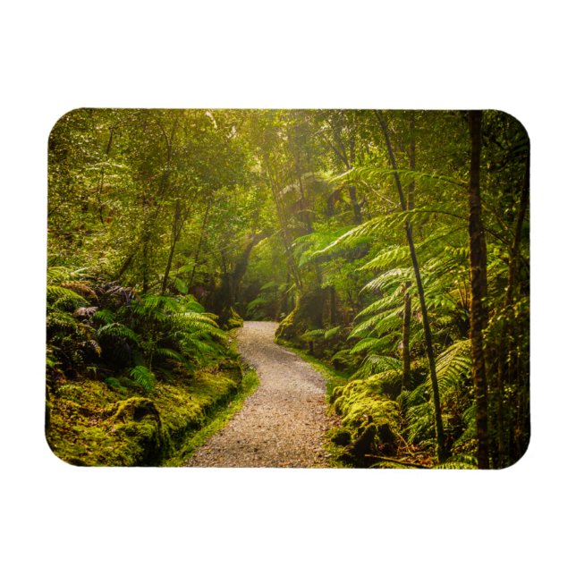 Forests | Footpath Into Forest Magnet (Horizontal)