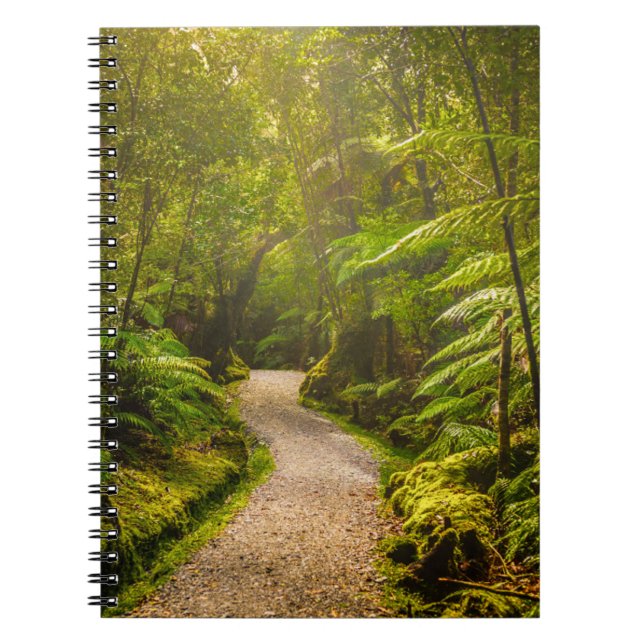 Forests | Footpath Into Forest Notebook (Front)