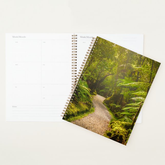 Forests | Footpath Into Forest Planner (Display)