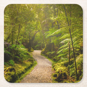 Forests Footpath Into Forest Square Paper Coaster
