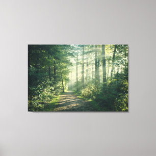 Forests   Forest Path Hamburg Germany Canvas Print