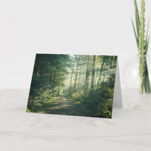 Forests   Forest Path Hamburg Germany Card