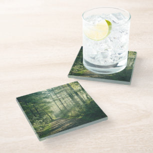 Forests Forest Path Hamburg Germany Glass Coaster