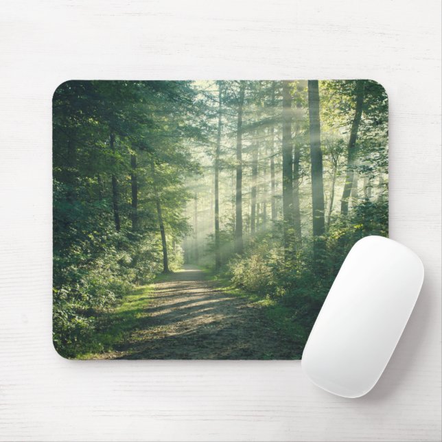 Forests | Forest Path Hamburg Germany Mouse Mat (With Mouse)