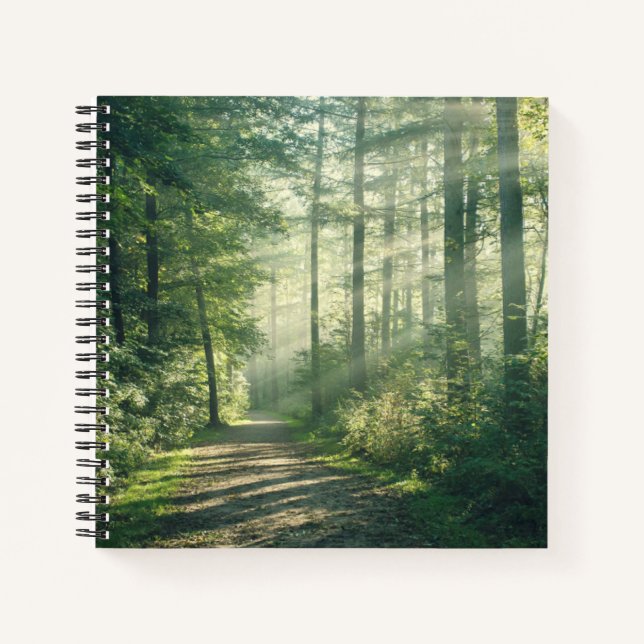 Forests | Forest Path Hamburg Germany Notebook (Front)