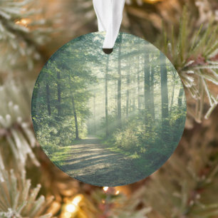 Forests   Forest Path Hamburg Germany Ornament