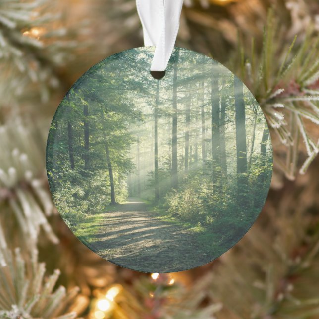 Forests | Forest Path Hamburg Germany Ornament (Tree)