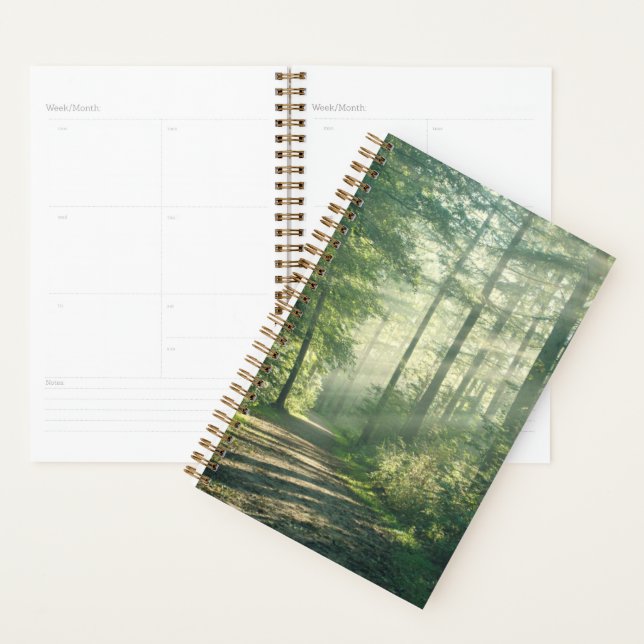 Forests | Forest Path Hamburg Germany Planner (Display)