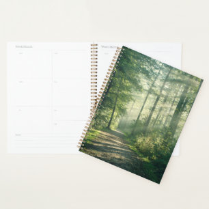 Forests Forest Path Hamburg Germany Planner