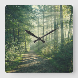 Forests Forest Path Hamburg Germany Square Wall Clock