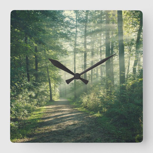 Forests | Forest Path Hamburg Germany Square Wall Clock (Front)