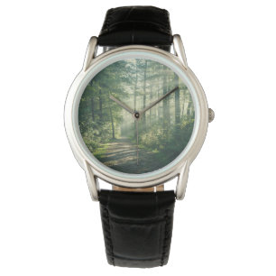 Forests   Forest Path Hamburg Germany Watch