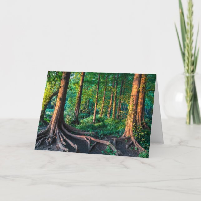 Forests | Greenery & Woodland Card (Front)