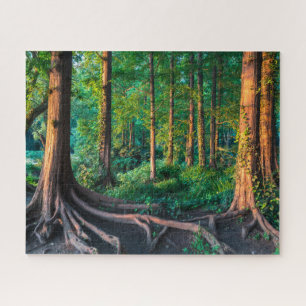 Forests Greenery & Woodland Jigsaw Puzzle