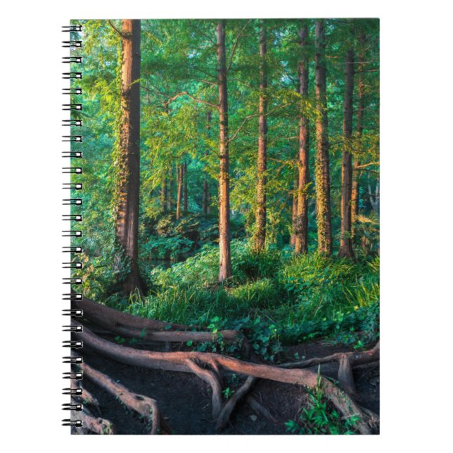 Forests | Greenery & Woodland Notebook (Front)