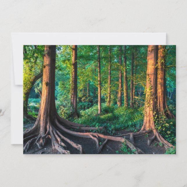 Forests | Greenery & Woodland Thank You Card (Front)