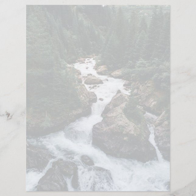 Forests | Grison Graubunden Canton (Front)