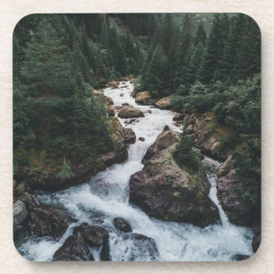 Forests Grison Graubunden Canton Coaster