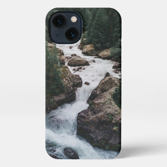 Forests | Grison Graubunden Canton iPhone Case (Back)