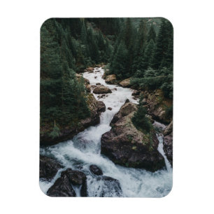 Forests   Grison Graubunden Canton Magnet