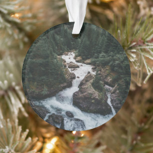Forests Grison Graubunden Canton Ornament