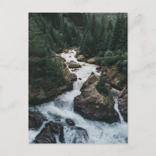 Forests   Grison Graubunden Canton Postcard