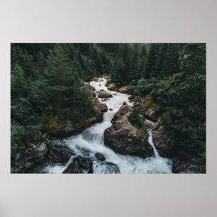 Forests Grison Graubunden Canton Poster