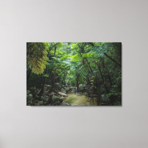 Forests Iriomote Ishigaki National Park Canvas Print