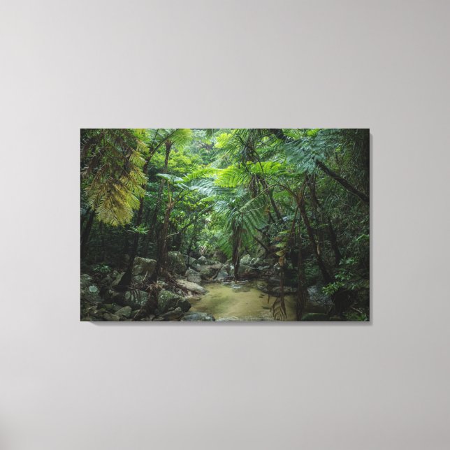 Forests | Iriomote Ishigaki National Park Canvas Print (Front)
